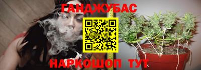 spice Моздок