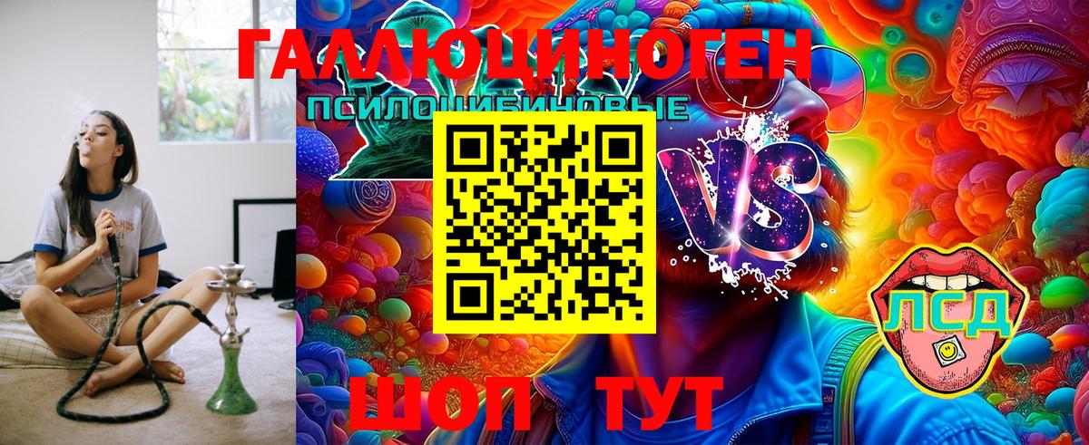 Ульяновск  Псилоцибиновые грибы MAGIC MUSHROOMS  Вход с VPN 